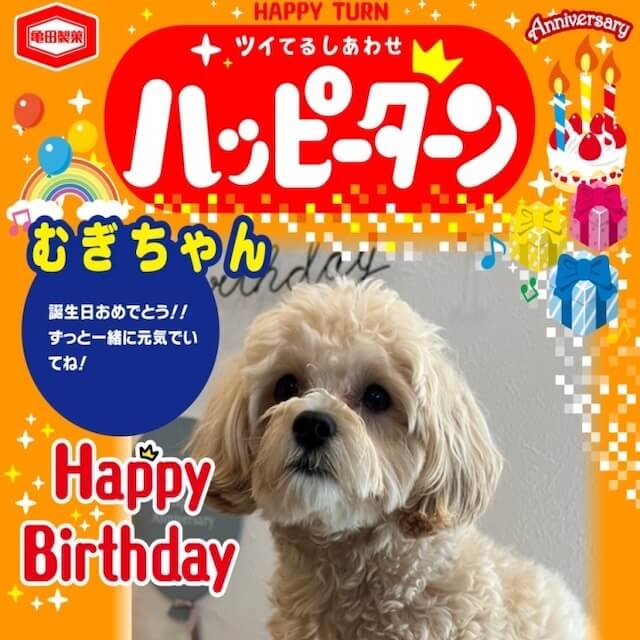 【ペットの写真が入れられる】オリジナルハッピーターン（ 入）