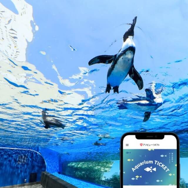 アソビュー！Aquarium TICKET（ペア）