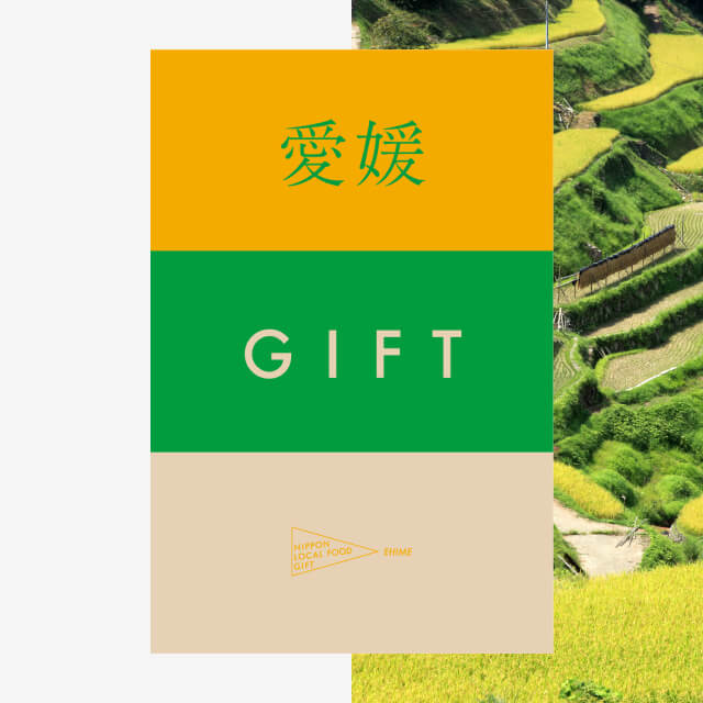 愛媛ギフト（土コース）