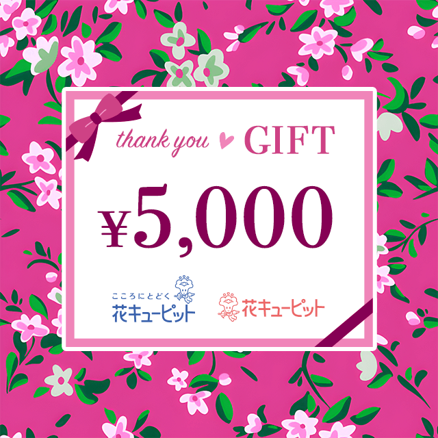 全国共通 花とみどりのeチケット 5,000円