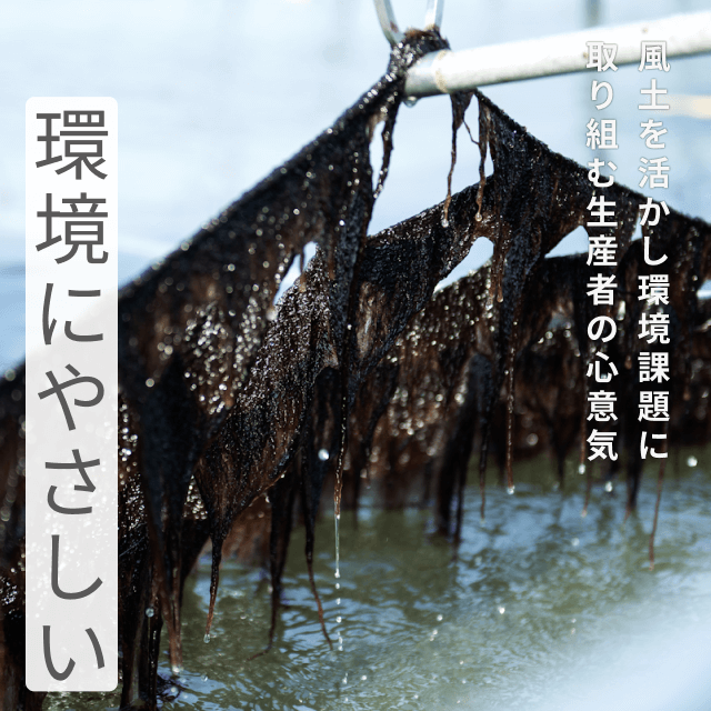 環境にやさしいギフト（水コース）