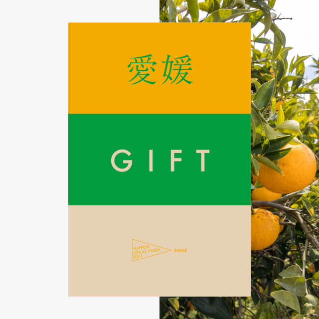 愛媛ギフト（風コース）