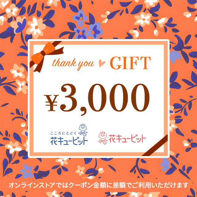 全国共通 花とみどりのeチケット 3,000円