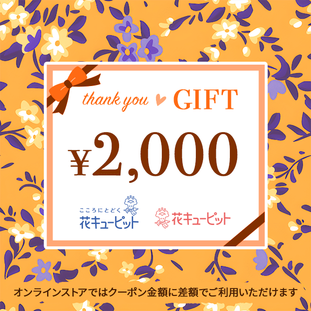 全国共通　花とみどりのeチケット 　2,000円
