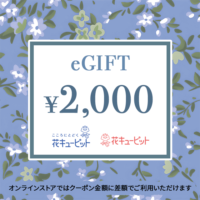 【お供え】全国共通　花とみどりのeチケット 　2,000円