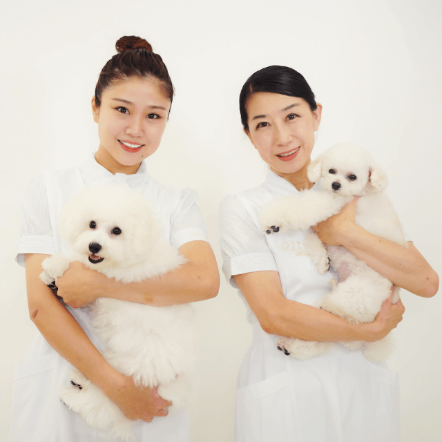 ペットシッター・お散歩代行120分（カウンセリング込み）