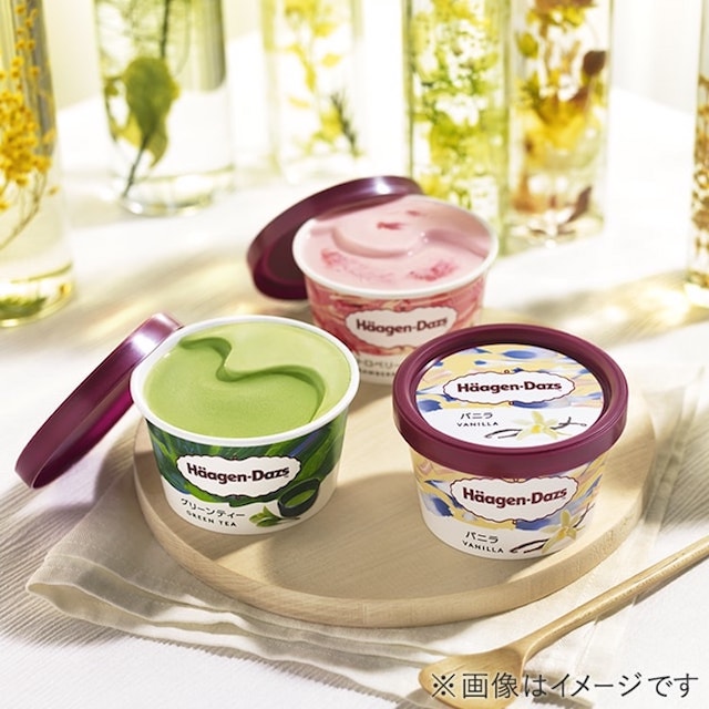 ハーゲンダッツ ギフト券（ ）